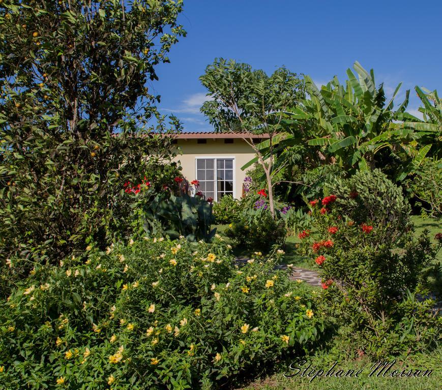 Cabanas Los Colibris San Carlos Δωμάτιο φωτογραφία