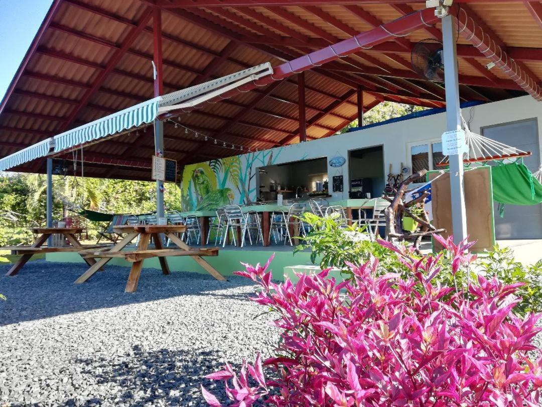 Cabanas Los Colibris San Carlos Εξωτερικό φωτογραφία